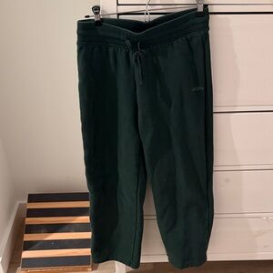 Aritzia Forest Green sweatpants